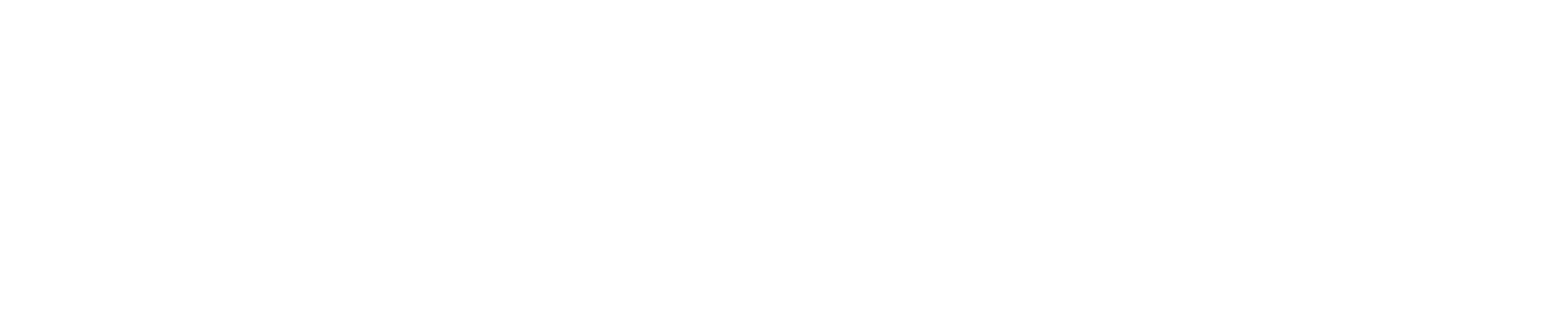 Nanino Logo quer